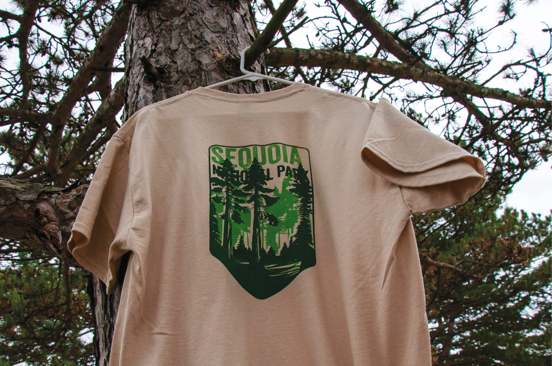 Sequoia National Park Shirt — Designed & Screen Printed
